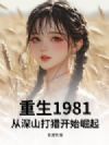 1981ɽԿʼ